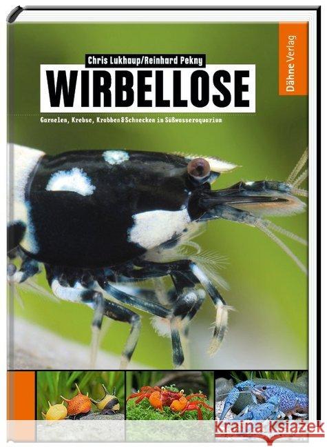 Wirbellose : Garnelen, Krebse, Krabben & Schnecken im Süßwasseraquarium Lukhaup, Chris; Pekny, Reinhard 9783935175593 Dähne - książka