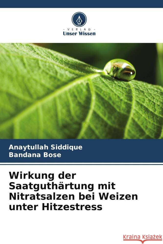 Wirkung der Saatguthärtung mit Nitratsalzen bei Weizen unter Hitzestress Siddique, Anaytullah, Bose, Bandana 9786205312926 Verlag Unser Wissen - książka