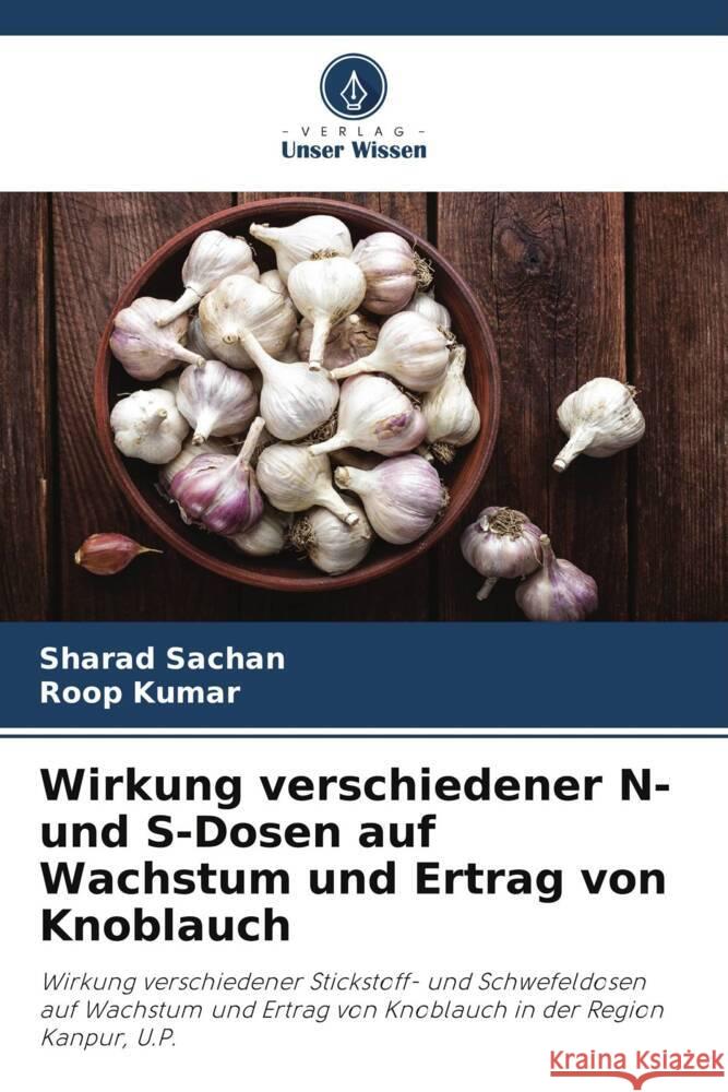 Wirkung verschiedener N- und S-Dosen auf Wachstum und Ertrag von Knoblauch Sachan, Sharad, Kumar, Roop 9786205176917 Verlag Unser Wissen - książka