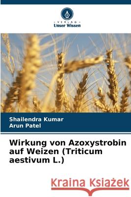 Wirkung von Azoxystrobin auf Weizen (Triticum aestivum L.) Shailendra Kumar Arun Patel 9786207570522 Verlag Unser Wissen - książka