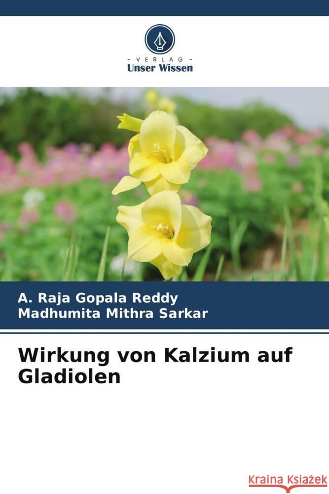 Wirkung von Kalzium auf Gladiolen A. Raja Gopala Reddy Madhumita Mithra Sarkar 9786208354329 Verlag Unser Wissen - książka