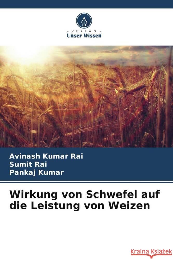 Wirkung von Schwefel auf die Leistung von Weizen Rai, Avinash Kumar, Rai, Sumit, Kumar, Pankaj 9786208567590 Verlag Unser Wissen - książka