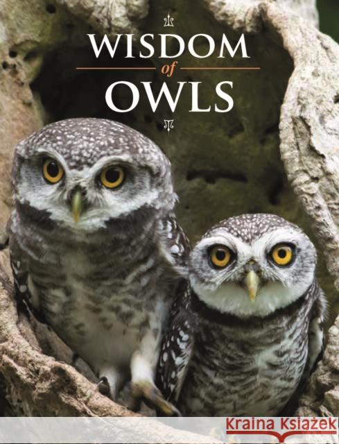 Wisdom of Owls  9780228105107 Firefly Books Ltd - książka