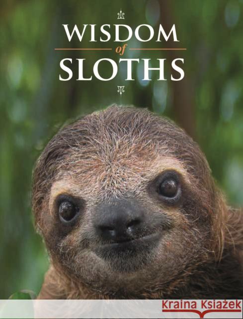 Wisdom of Sloths  9780228105022 Firefly Books Ltd - książka