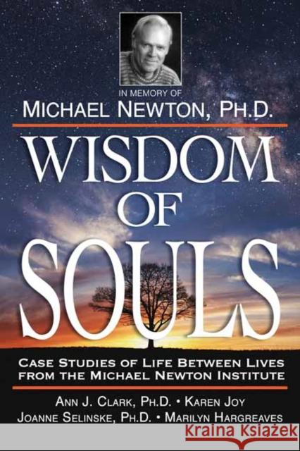 Wisdom of Souls: Case Studies of Life Between Lives from the Michael Newton Institute The Newton Institute 9780738758343 Llewellyn Publications,U.S. - książka