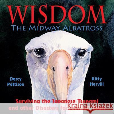 Wisdom, the Midway Albatross: Surviving the Japanese Tsunami and Other Disasters for Over 60 Years Darcy Pattison Kitty Harvill 9780979862175 Mims House - książka
