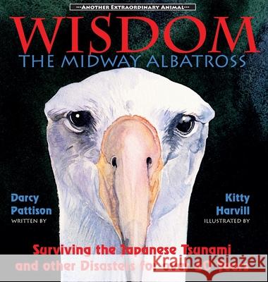 Wisdom, the Midway Albatross: Surviving the Japanese Tsunami and Other Disasters for Over 60 Years Pattison, Darcy 9780985213459 Mims House - książka