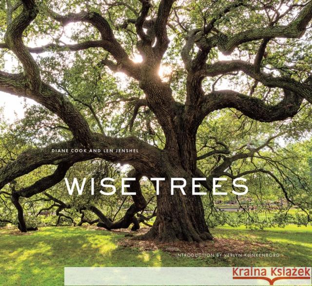 Wise Trees Diane Cook Len Jenshel Verlyn Klinkenborg 9781419727009 Abrams - książka