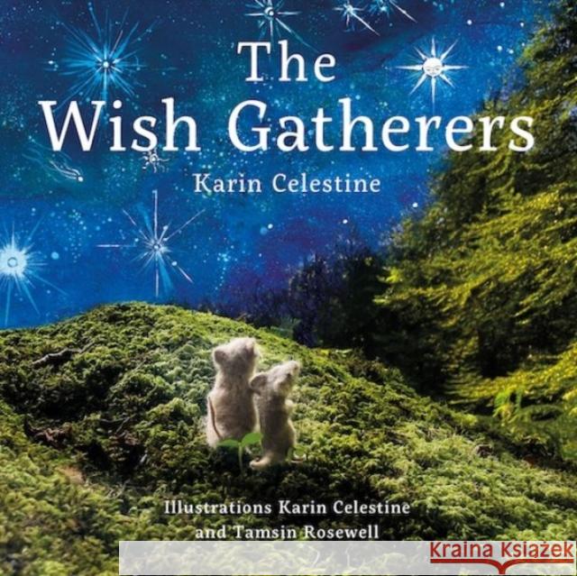 Wish Gatherers, The Karin Celestine 9781802581874 Graffeg Limited - książka