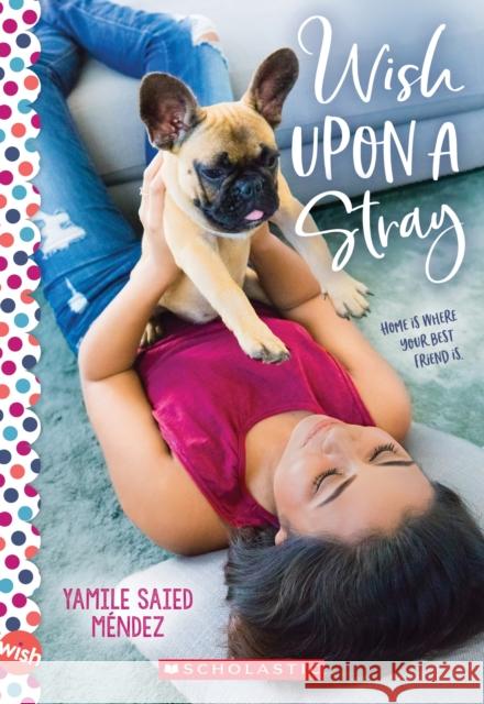 Wish Upon a Stray: A Wish Novel M 9781338684667 Scholastic Paperbacks - książka