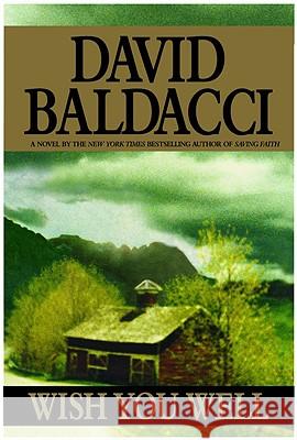 Wish You Well David Baldacci 9780446527163 Warner Books - książka