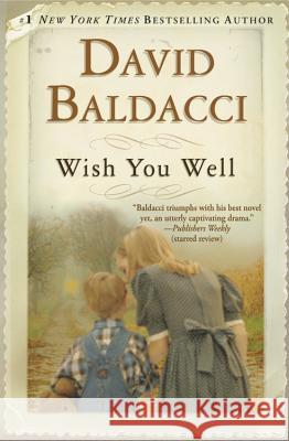 Wish You Well David Baldacci 9780446699488 Warner Books - książka