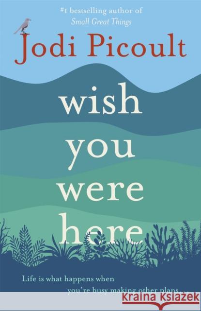 Wish You Were Here: The Sunday Times bestseller readers are raving about Jodi Picoult 9781473692510 Hodder & Stoughton - książka