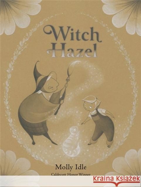 Witch Hazel Molly Idle 9780316541138 Little, Brown Books for Young Readers - książka