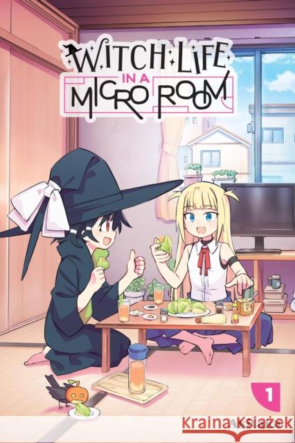 Witch Life in a Micro Room, Vol. 1 Dayeun Kim 9781975374228 Little, Brown & Company - książka