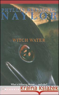 Witch Water Phyllis Reynolds Naylor 9780689853166 Atheneum Books - książka