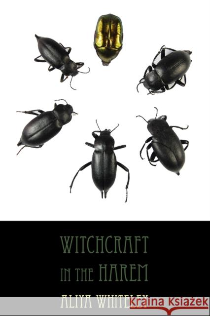 Witchcraft in the Harem Aliya Whiteley 9781907133404 Dog Horn Publishing - książka