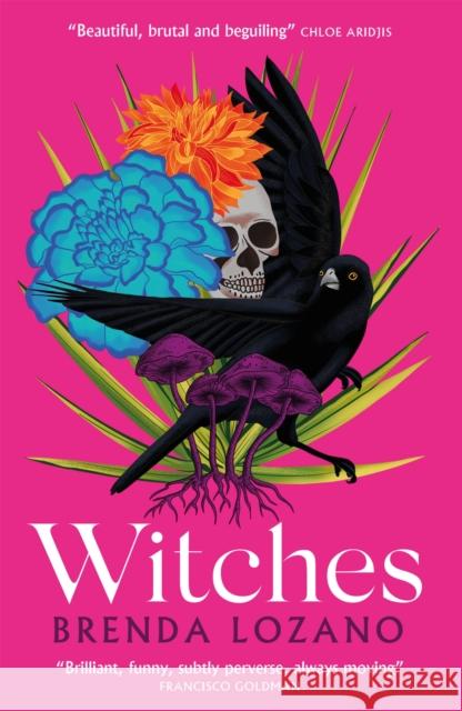 Witches Brenda Lozano 9781529412239 Quercus Publishing - książka