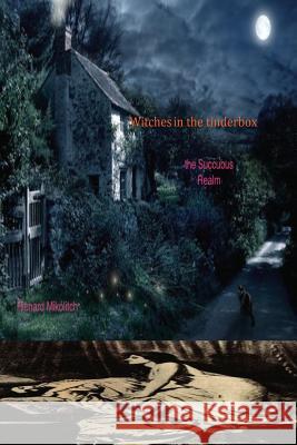 Witches in the Tinderbox: The Succubus Realm Richard Mikolitch 9781514727065 Createspace - książka
