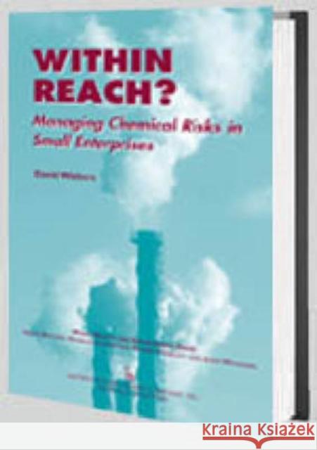 Within Reach?: Managing Chemical Risks in Small Enterprises Walters, David 9780895033475  - książka