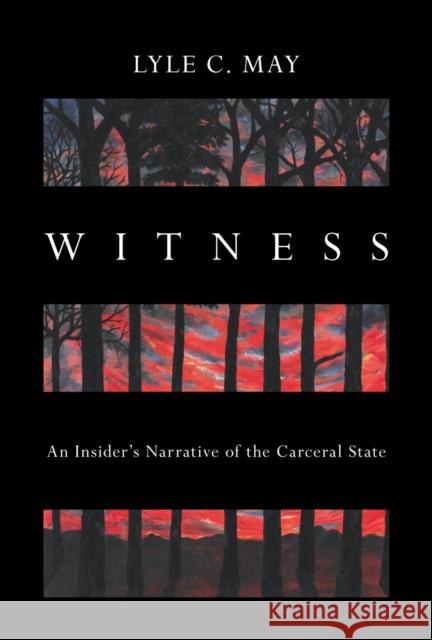 Witness: An Insider\'s Narrative of the Carceral State  9781642599718 Haymarket Books - książka