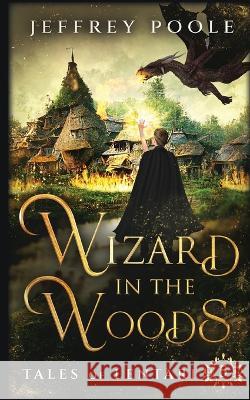 Wizard in the Woods Jeffrey Poole   9781649141446 Secret Staircase Books - książka