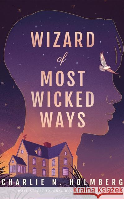 Wizard of Most Wicked Ways Charlie N. Holmberg 9781662516825 47north - książka