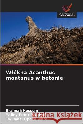 Wlókna Acanthus montanus w betonie Kassum, Braimah, Paa-Kofi, Yalley Peter, Ware, Twumasi Opoku 9786208703097 Wydawnictwo Nasza Wiedza - książka