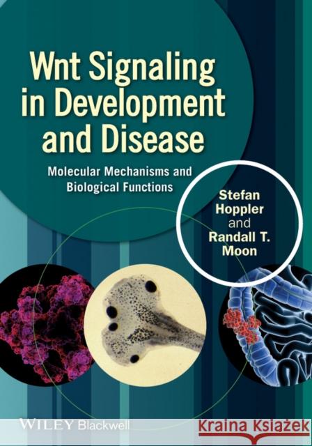 Wnt Signaling in Development and Disease: Molecular Mechanisms and Biological Functions Hoppler, Stefan P. 9781118444160 John Wiley & Sons - książka