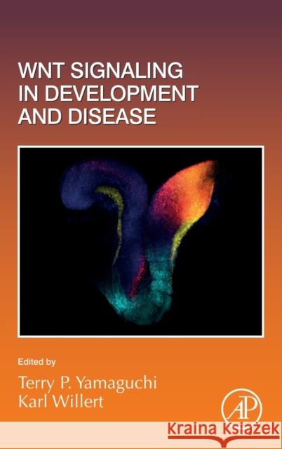 Wnt Signaling in Development and Disease: Volume 153 Yamaguchi, Terry P. 9780128201671 Elsevier Science Publishing Co Inc - książka