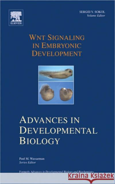 Wnt Signaling in Embryonic Development: Volume 17 Sokol, Sergei 9780444528742 Elsevier Science - książka