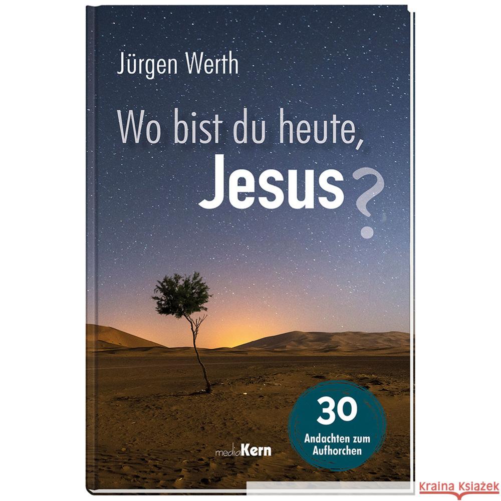 Wo bist du heute, Jesus? Werth, Jürgen 9783842916395 mediaKern - książka