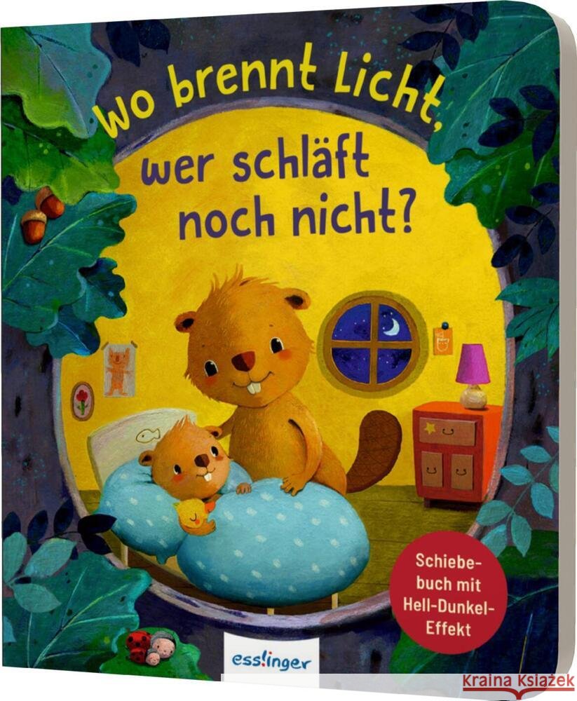 Wo brennt Licht, wer schläft noch nicht? Kiel, Anja 9783480238538 Esslinger in der Thienemann-Esslinger Verlag  - książka