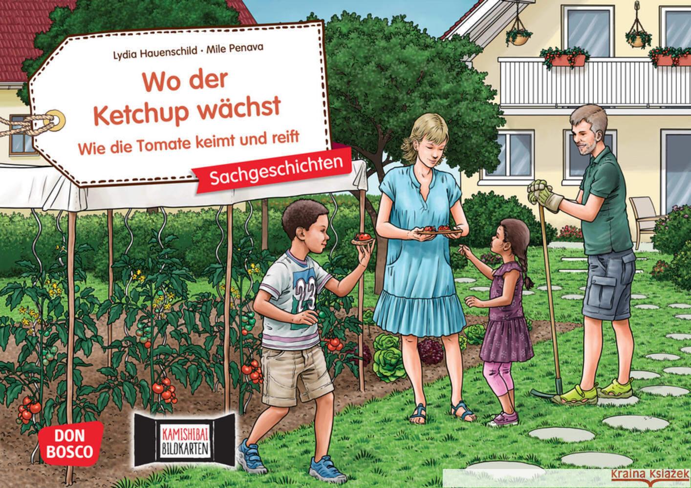 Wo der Ketchup wächst. Wie die Tomate keimt und reift. Kamishibai Bildkartenset Hauenschild, Lydia 4260694920275 Don Bosco Medien - książka