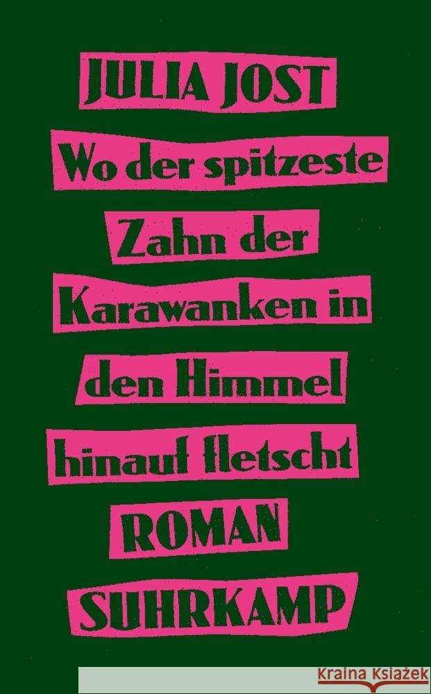 Wo der spitzeste Zahn der Karawanken in den Himmel hinauf fletscht Jost, Julia 9783518474730 Suhrkamp - książka