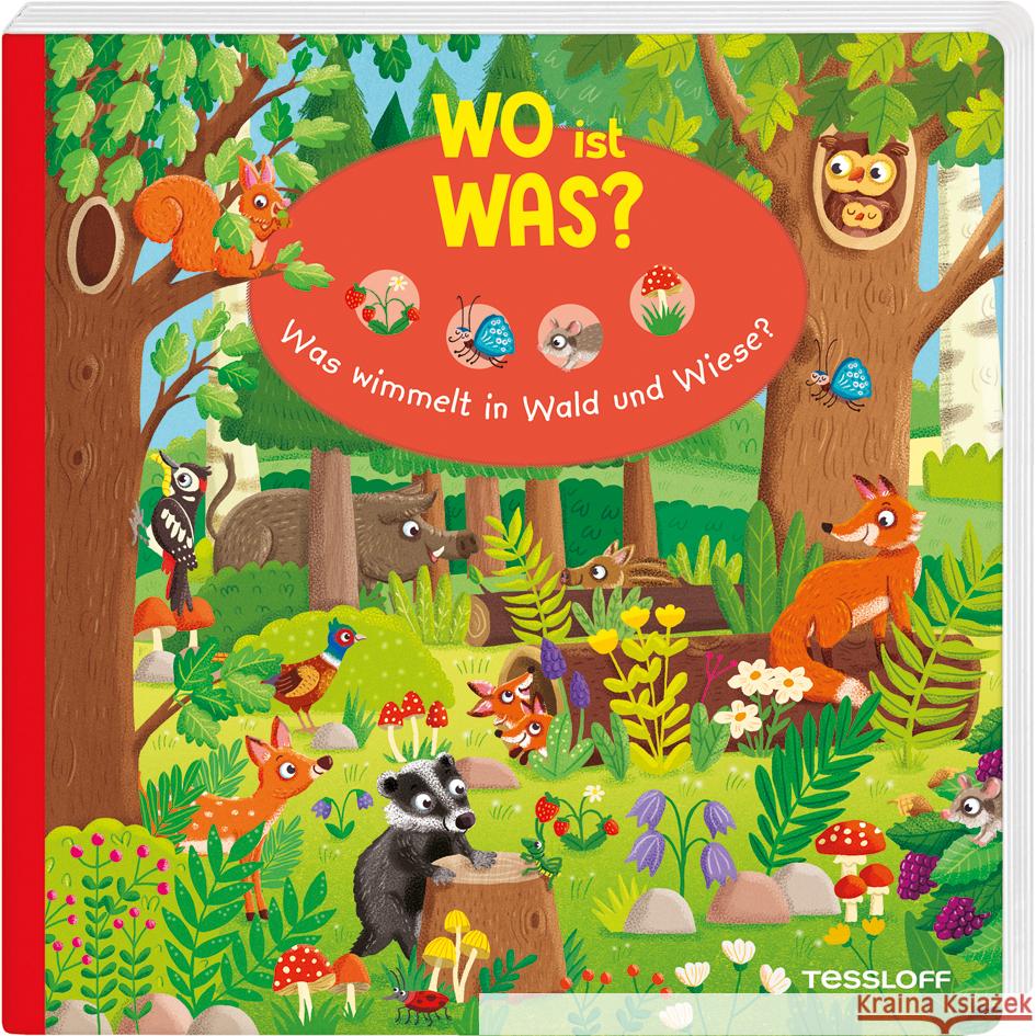 WO ist WAS? Was wimmelt in Wald und Wiese? Reindl, Julia 9783788644529 Tessloff Verlag Ragnar Tessloff GmbH & Co. KG - książka
