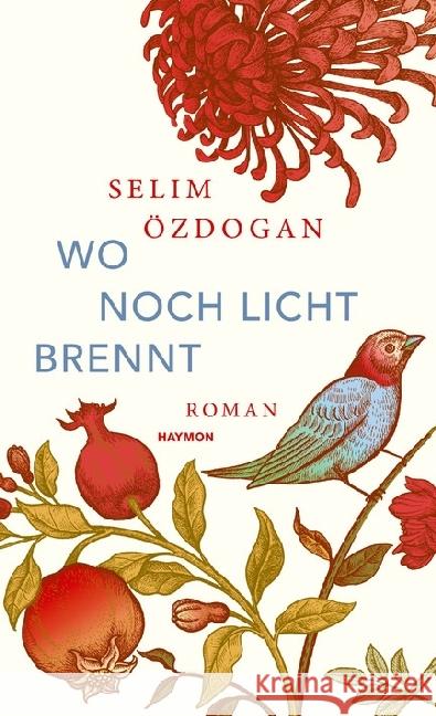 Wo noch Licht brennt : Roman Özdogan, Selim 9783709972991 Haymon Verlag - książka