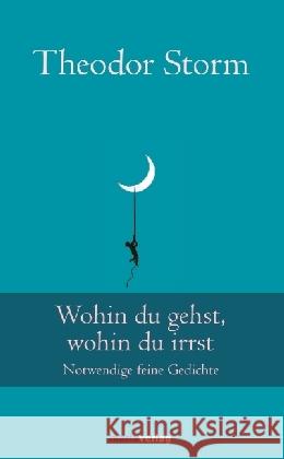 Wohin du gehst, wohin du irrst : Notwendige feine Gedichte Storm, Theodor 9783737410526 marixverlag - książka