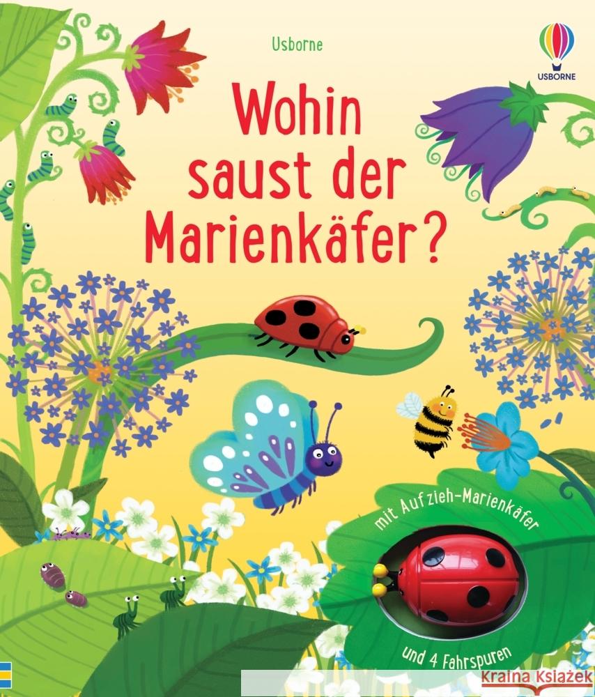 Wohin saust der Marienkäfer?  9781035701797 Usborne Verlag - książka