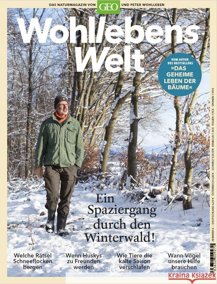 Wohllebens Welt - Ein Spaziergang durch den Winterwald Wohlleben, Peter 9783652009287 Gruner & Jahr - książka