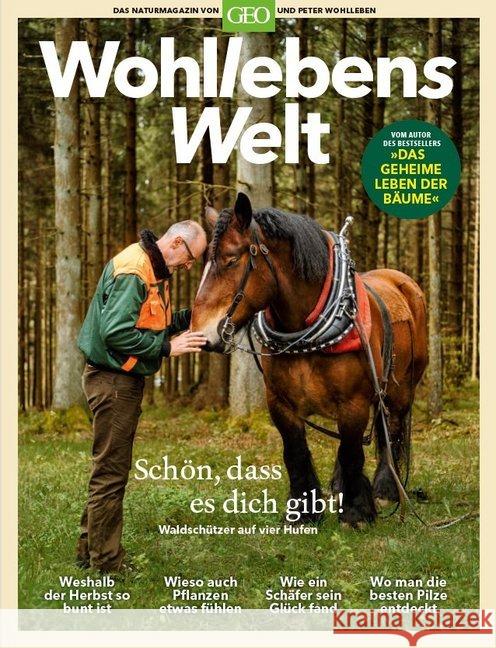 Wohllebens Welt - Neue Ideen für nachhaltigen Umgang : Ein Naturmagazin von GEO und Peter Wohlleben Wohlleben, Peter 9783652009270 Gruner & Jahr - książka