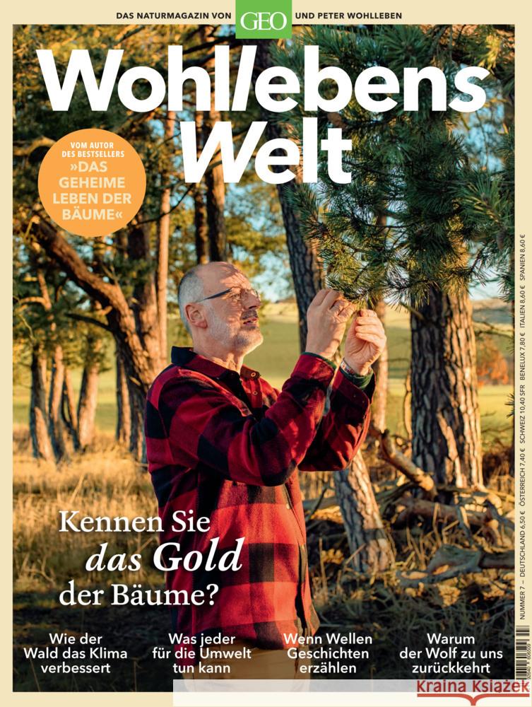 Wohllebens Welt / Wohllebens Welt 7/2020 - Kennen Sie das Gold der Bäume?. Nr.3/2020 Wohlleben, Peter 9783652009324 Gruner & Jahr - książka