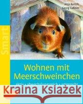 Wohnen mit Meerschweinchen : Aktive - abwechslungsreich - artgerecht Bartels, Anja Gaßner, Georg  9783800153923 Ulmer (Eugen) - książka