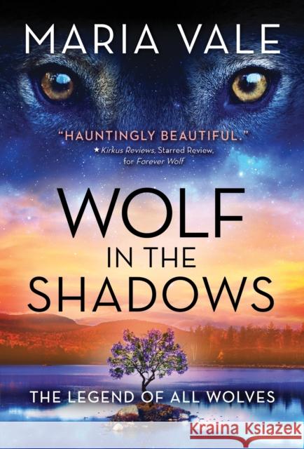 Wolf in the Shadows Maria Vale 9781728214733 Sourcebooks, Inc - książka