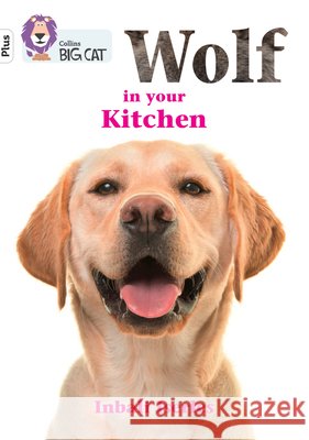 Wolf in your kitchen: Band 10+/White Plus Inbali Iserles 9780008485689 HarperCollins Publishers - książka