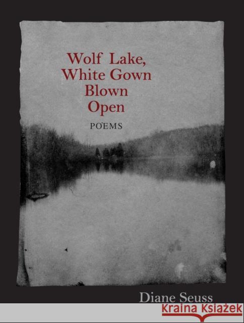 Wolf Lake, White Gown Blown Open: Poems Diane Seuss 9781558498259 University of Massachusetts Press - książka