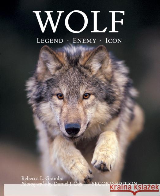 Wolf: Legend, Enemy, Icon Rebecca Grambo Daniel J. Cox Daniel Cox 9781770855595 Firefly Books - książka