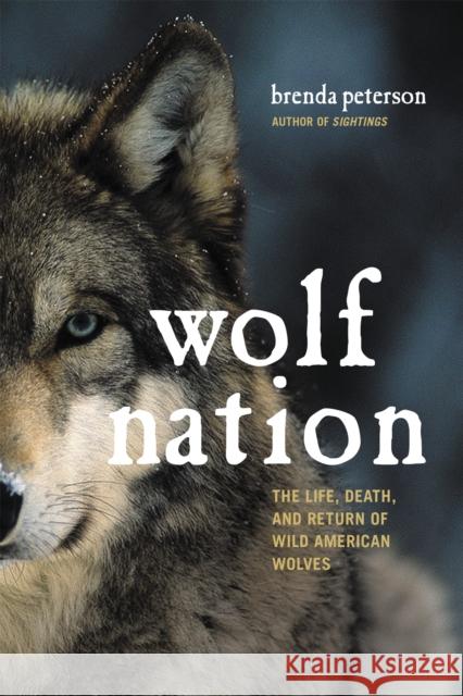 Wolf Nation: The Life, Death, and Return of Wild American Wolves Brenda Peterson 9780306824937 Da Capo Press - książka