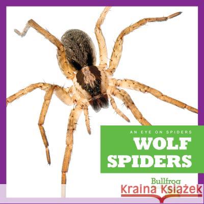 Wolf Spiders Jenna Lee Gleisner 9781624968006 Bullfrog Books - książka