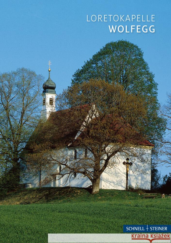 Wolfegg Blessing, Claus, Schmid, Otto 9783795473266 Schnell & Steiner - książka